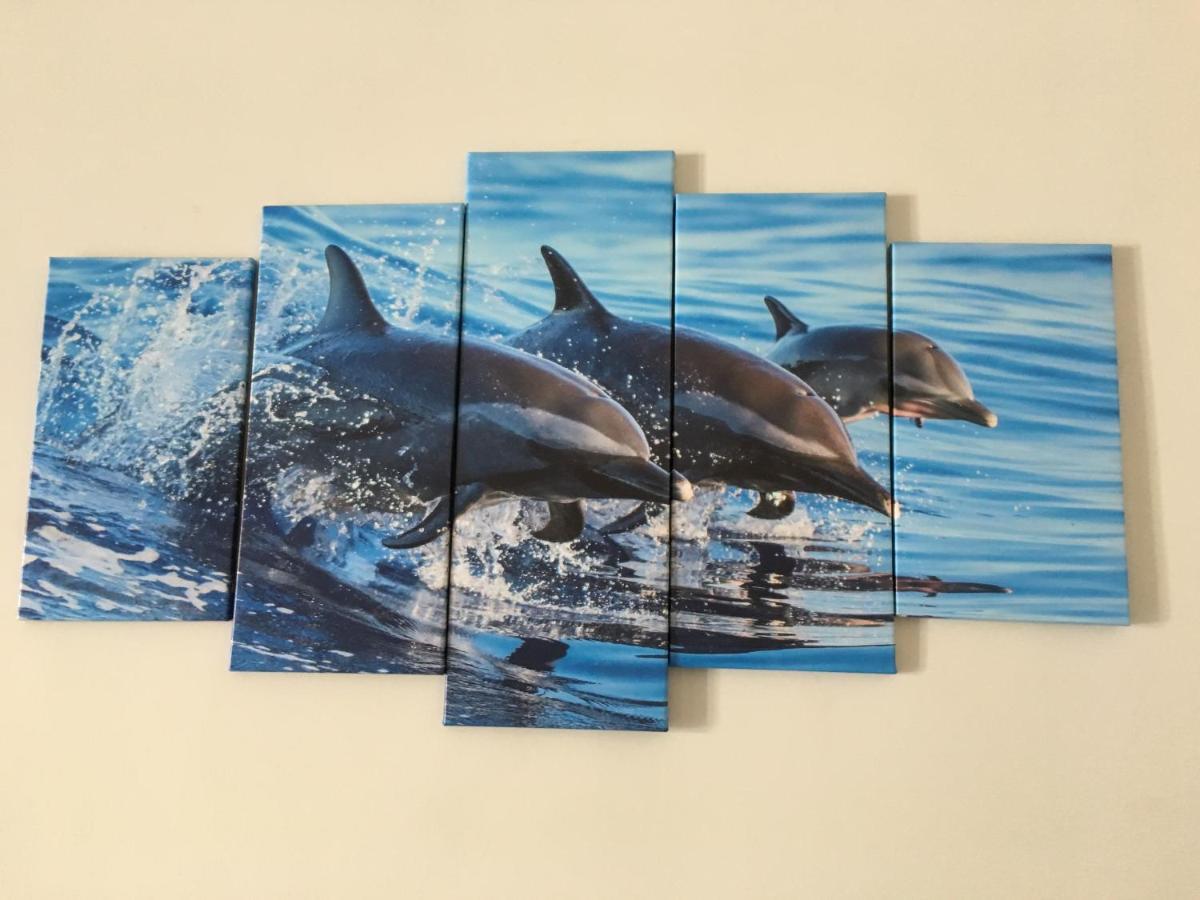 Dolphin Maeva Residencial Villa Puerto Peñasco Екстериор снимка